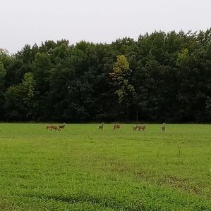 Meet your Posher, Joan